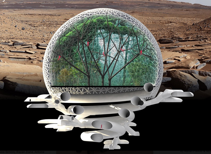 MIT's proposed interlinked, domed tree habitats win mars city design