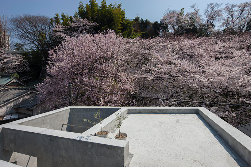 oriel window house by shinsuke fujii offers views of the neighboring cherry blossoms