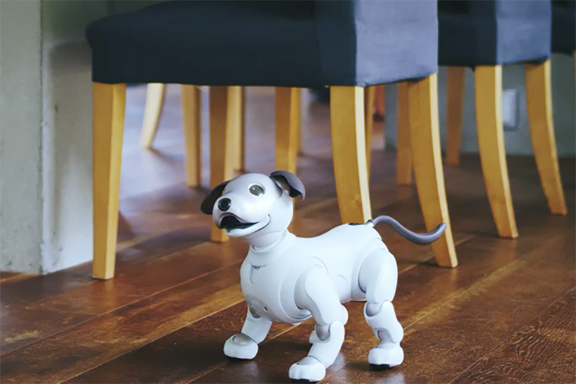 Sony’s New Chocolate Aibo Will Act As Watchdog Over Your Home