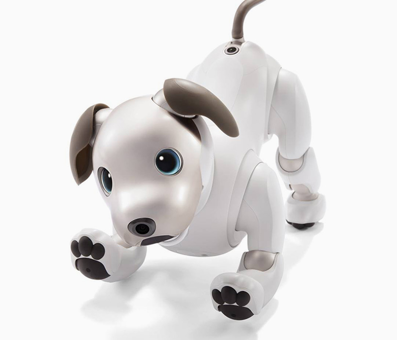 $3000 sony aibo robot dog