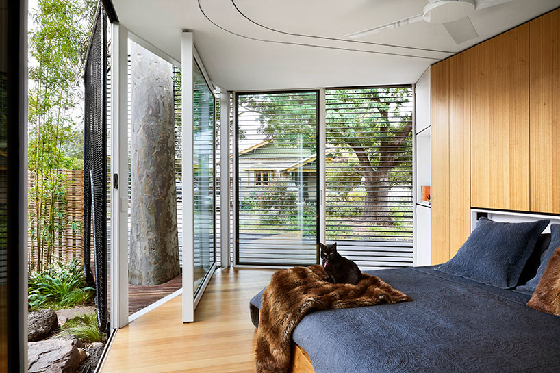 austin maynard transforms 'kiah house' into a serene home-office covered by plants