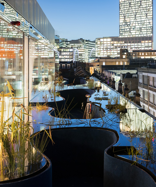 selgascano extends second home's london building with plant-filled rooftop space