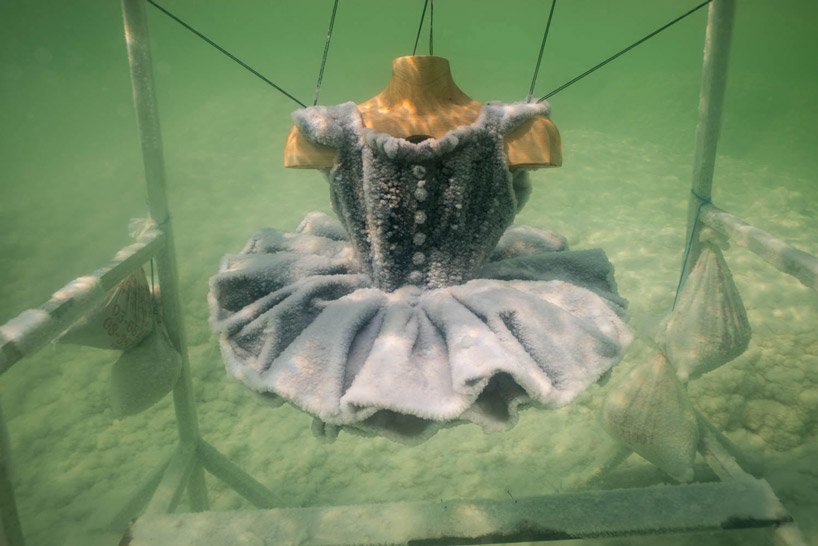 sigalit landau salt years salt sculptures dead sea baptism