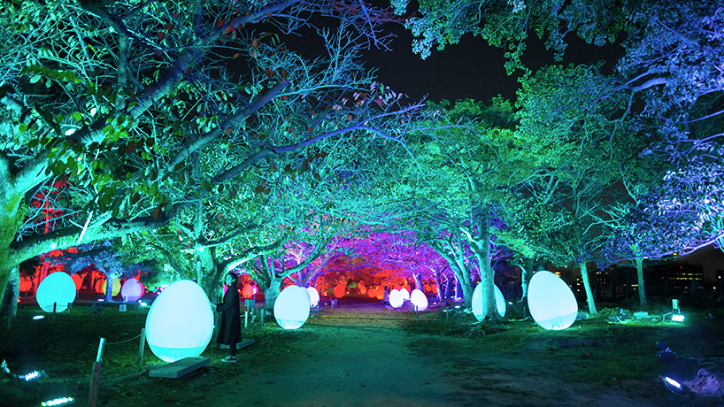 teamlab fukuoka castle ruins