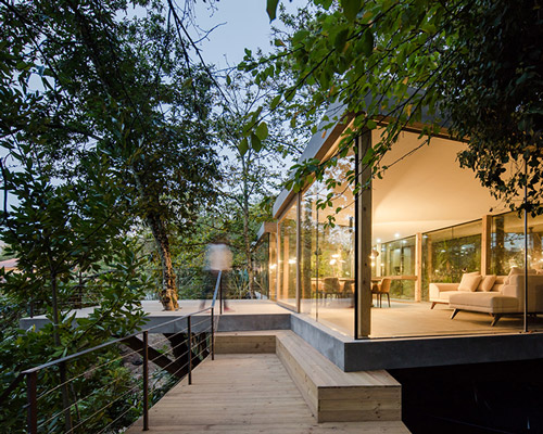 3r arquitetura's transparent house is hidden amid chestnut trees in portugal