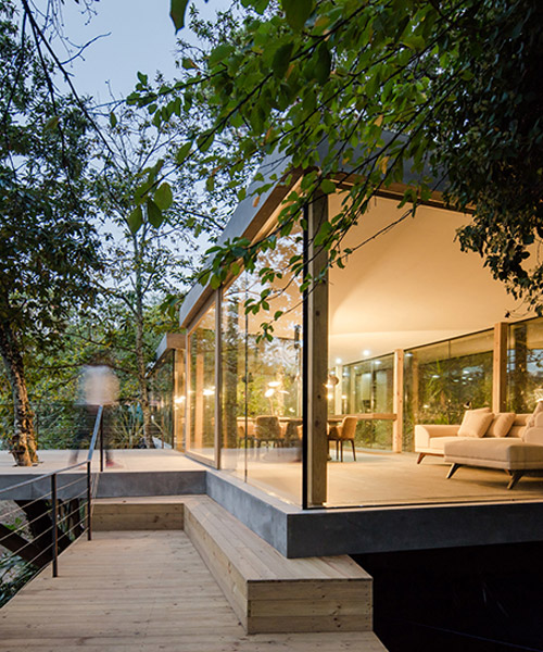 3r arquitetura's transparent house is hidden amid chestnut trees in portugal