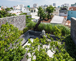 MW archstudio's tree-filled house in vietnam is topped with a secluded roof garden