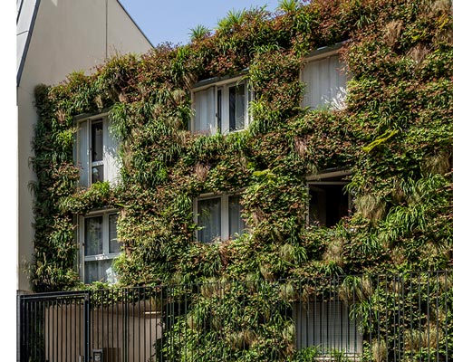 anonyme studio fully covers a parisian building façade with plants