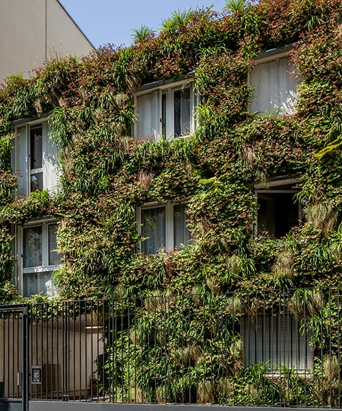 anonyme studio fully covers a parisian building façade with plants