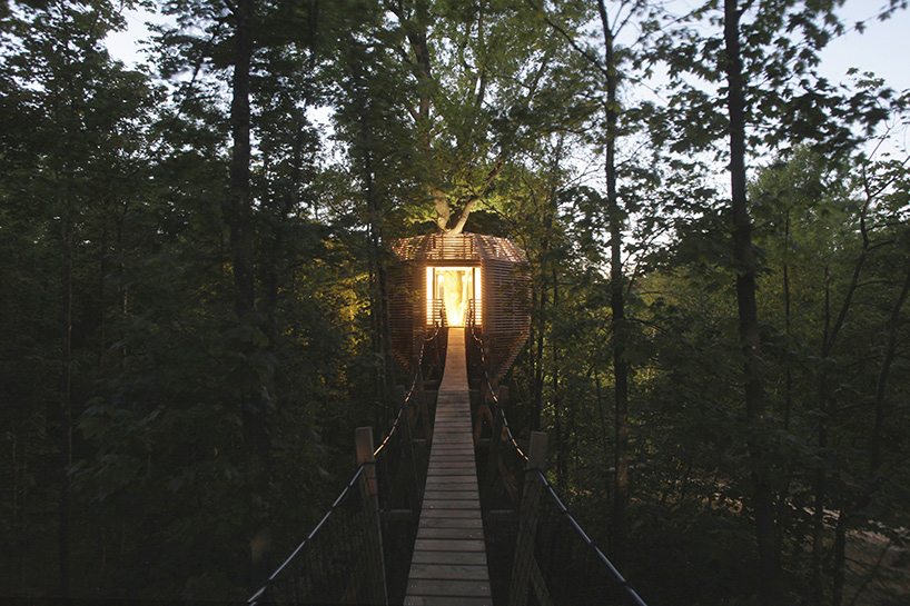 the ORIGIN tree house by atelier LAVIT is a secluded forest retreat