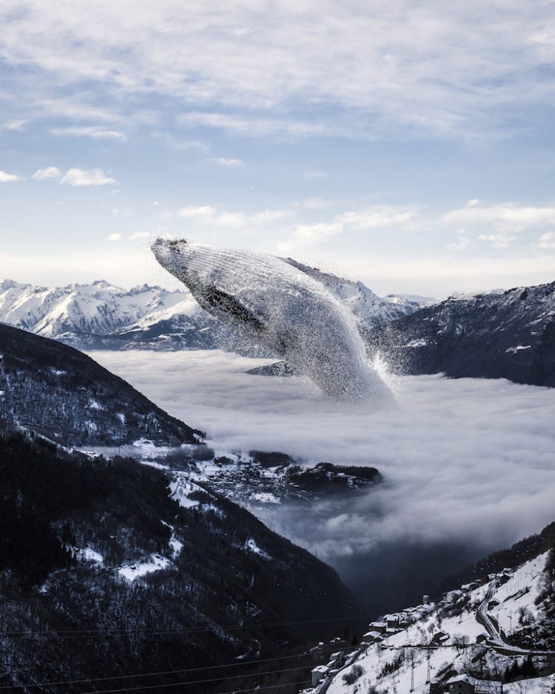 immerse yourself in the surreal and poetic world of justin peters