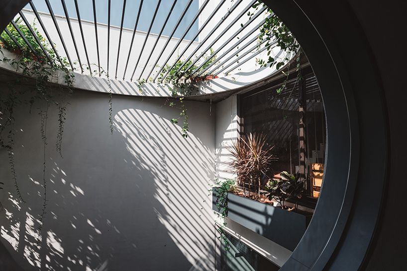 neogenesis studi0261