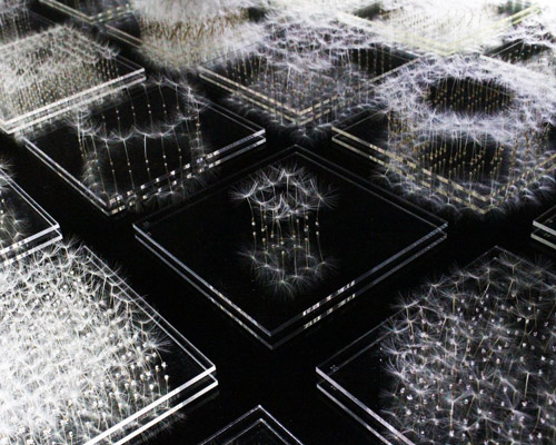 artist builds architectural sculptures using dandelion fluff