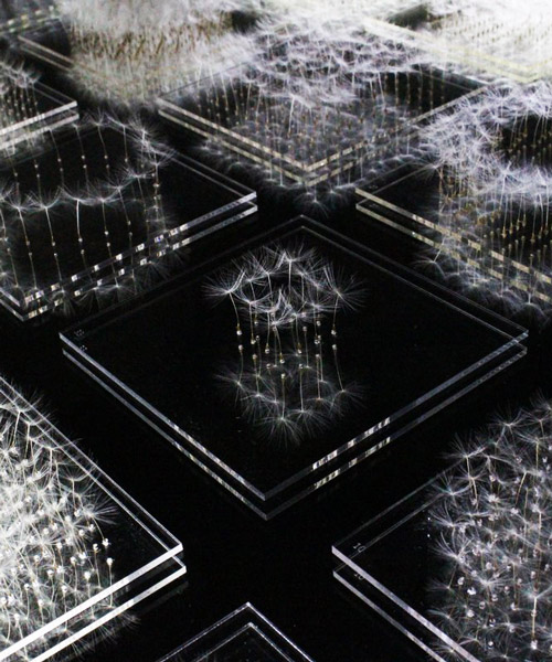 artist builds architectural sculptures using dandelion fluff