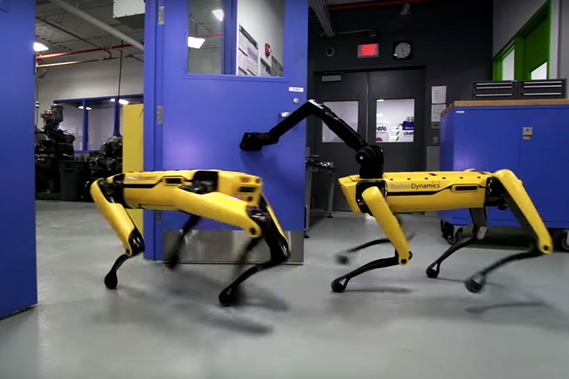 boston dynamics robot dog