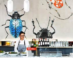 big beetles on the wall: 'sweetie salad' restaurant by RAMOPRIMO in beijing