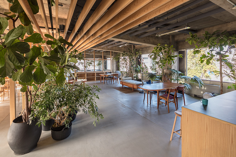 general design every day is the day