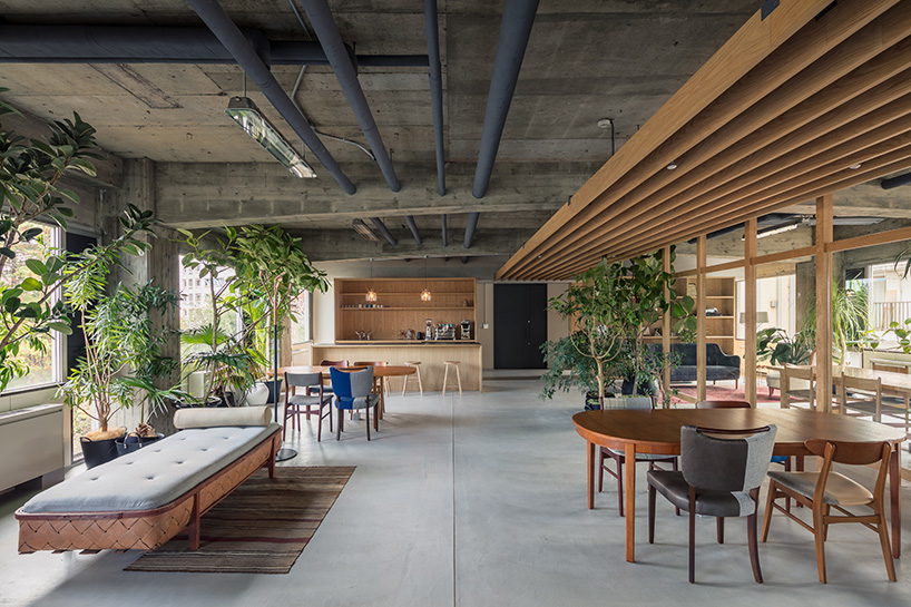 general design completes plantfilled office for 'every day is the day'