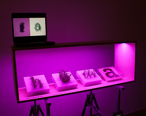 type garden demonstrates a 'natural evolution' of language signs