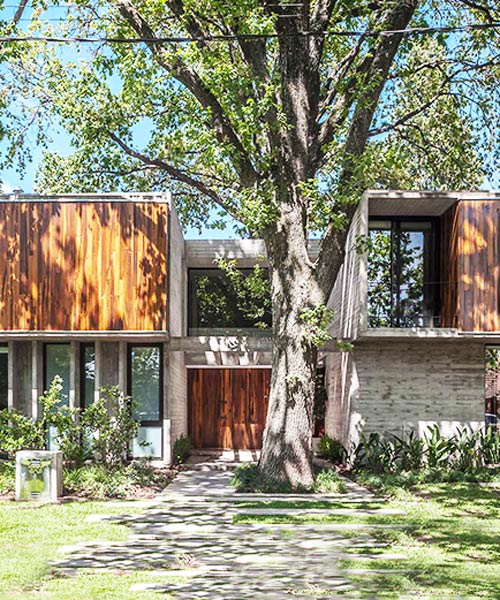 the plan of aranzazu house is defined by the arrangement of trees, by besonias almeida