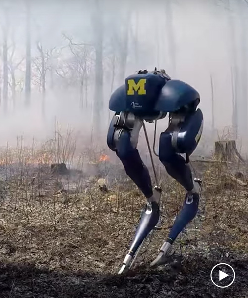 cassie the ostrich-inspired robot walks through fires and rides a segway
