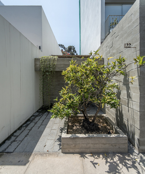 ghezzi novak's latest work in peru shifts into a concrete volume filled with plants