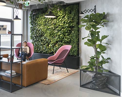 kraaijvanger architects turns CIC rotterdam's offices into an urban jungle