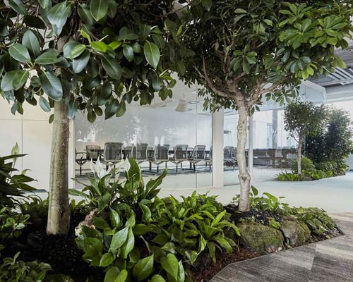 lab5 architects plants a forest in skanska's new budapest headquarters