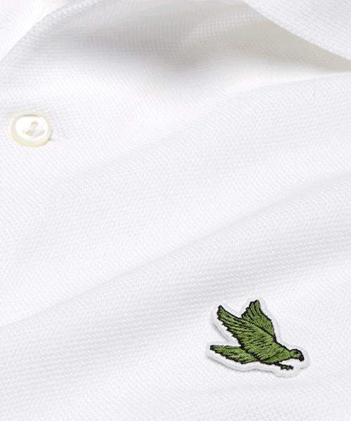 lacoste logo in of 10 endangered animals for save our species