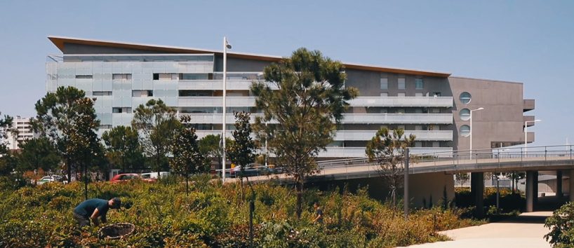 pablo casals presents short film revisiting mateo's project 'bayonne, entrée de ville'