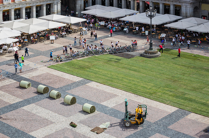 spy grass madrid