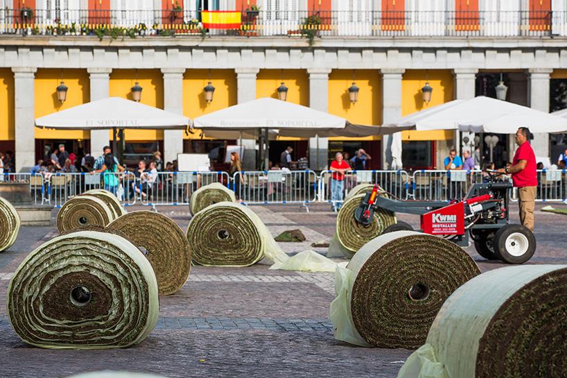 spy grass madrid