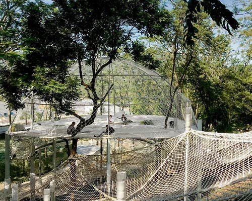 tree top adventure: suspended nets form climbing forest park through mount luofu, china