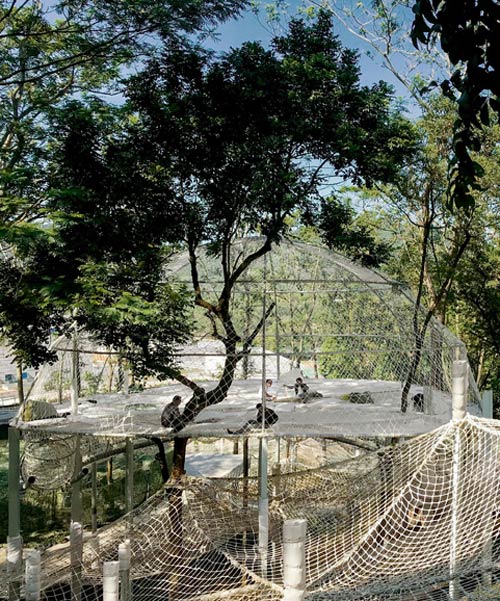 tree top adventure: suspended nets form climbing forest park through mount luofu, china