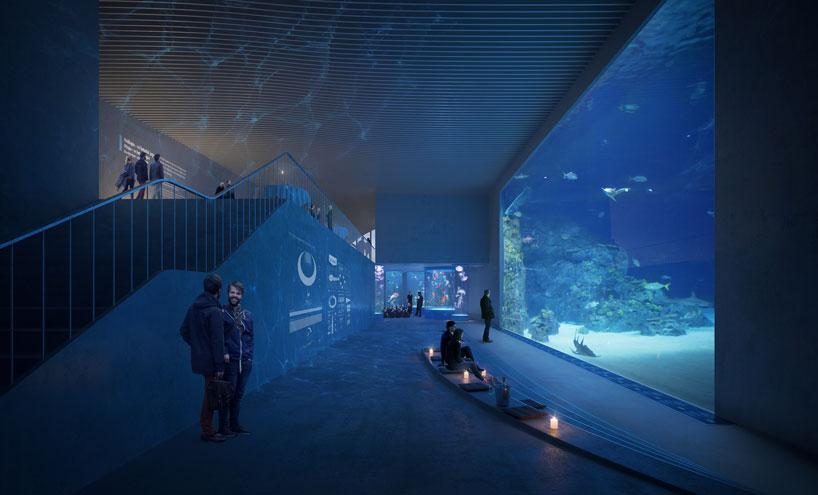 3XN GERNER GERNER PLUS