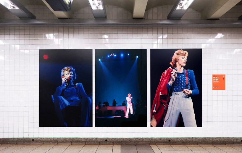 david bowie
