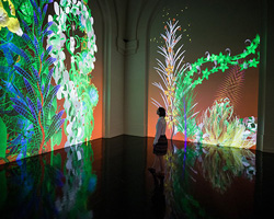 miguel chevalier creates a digital kingdom of flowers in latest exhibit