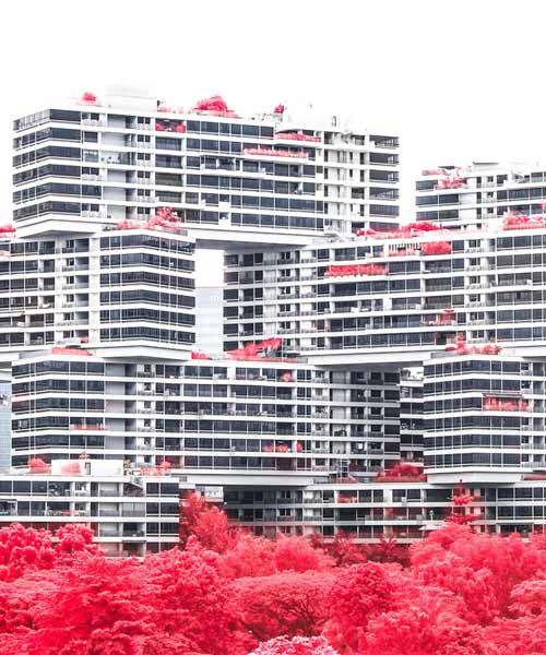 floral phantasmagoria: finbarr fallon converts singapore into a surreal dreamscape in scarlet