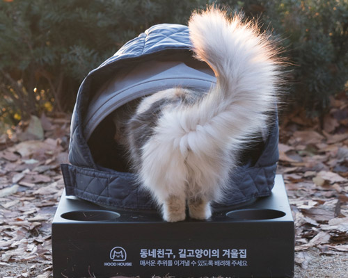 used hoods become winter homes for shivering stray cats