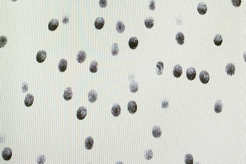 issey miyake masahiko sato