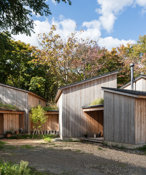 makoto suzuki's house in tokiwa comprises a series of timber-clad cabins