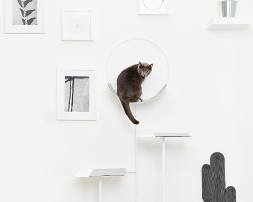 chic cat bed designers debut more classy furniture for suspiciously self aware felines