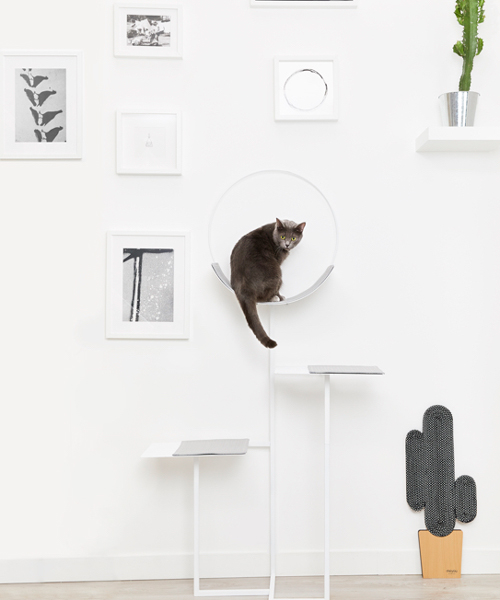 chic cat bed designers debut more classy furniture for suspiciously self aware felines