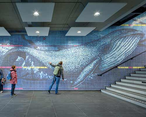 SILO + kraaijvanger architects' whales welcome guests to rotterdam's aquatics center