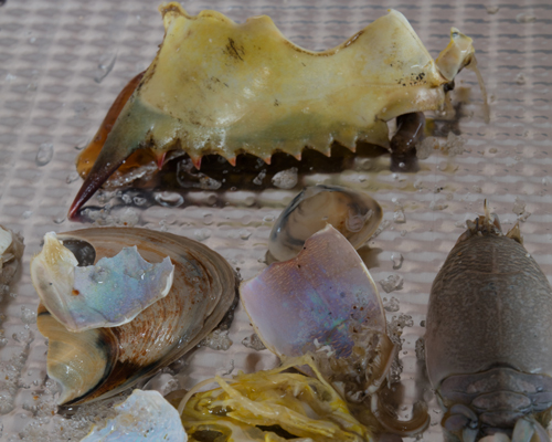 wolfgang tillmans' 'what is different?' in carré d'art museum of contemporary art in nîmes