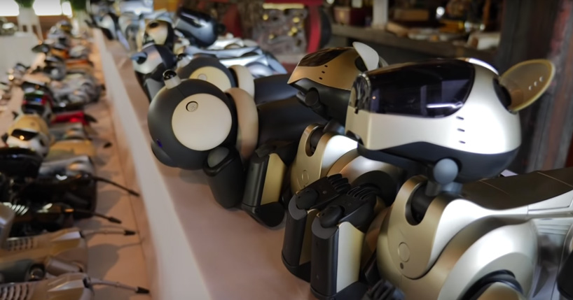 Over 100 Sony Aibo Robot Dogs Get Their Own Funeral In Japan