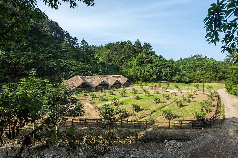 building a future countryside: chinese pavilion at the venice architecture biennale 2018