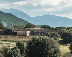 amelia tavella's school in strega blends within the trees and ferns of the corsican landscape