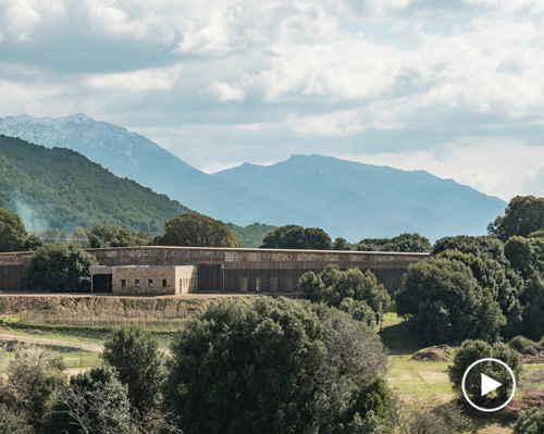 amelia tavella's school in strega blends within the trees and ferns of the corsican landscape