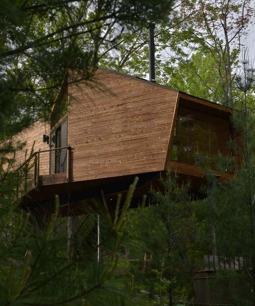 this elevated 'treehouse' in woodstock by antony gibbon offers an escape from the city